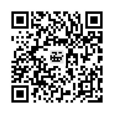 skins.qr_code_alt
