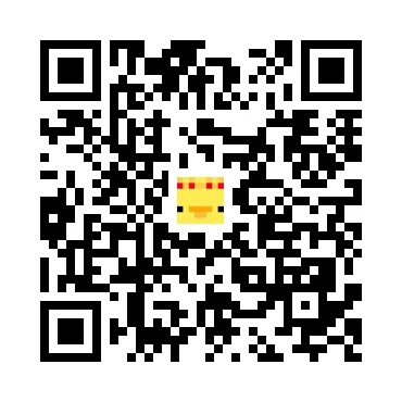 skins.qr_code_alt