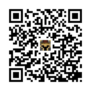 skins.qr_code_alt
