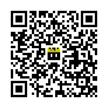 skins.qr_code_alt