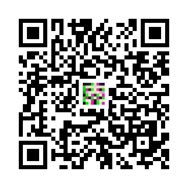 skins.qr_code_alt