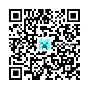 skins.qr_code_alt
