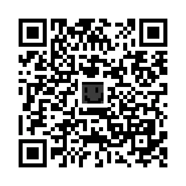 skins.qr_code_alt