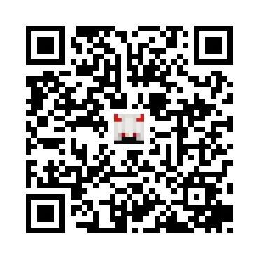 skins.qr_code_alt