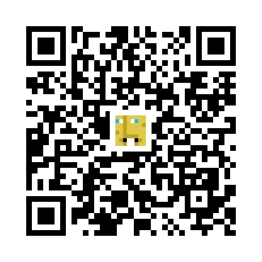 skins.qr_code_alt