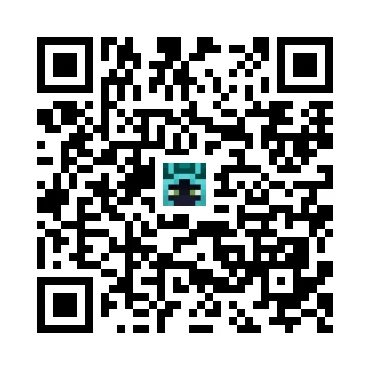 skins.qr_code_alt
