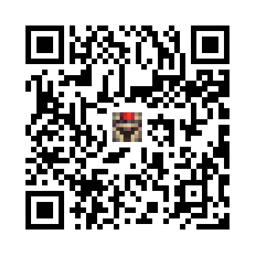 skins.qr_code_alt