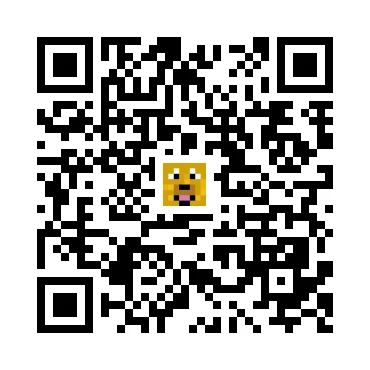 skins.qr_code_alt