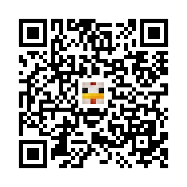 skins.qr_code_alt