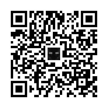 skins.qr_code_alt