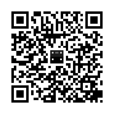 skins.qr_code_alt