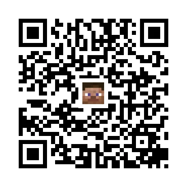 skins.qr_code_alt