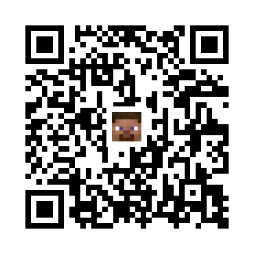 skins.qr_code_alt