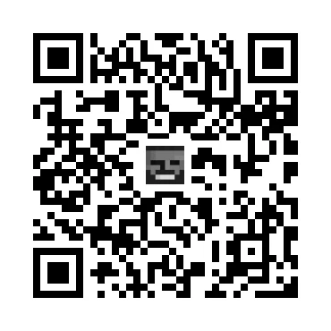 skins.qr_code_alt