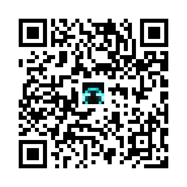 skins.qr_code_alt