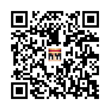 skins.qr_code_alt