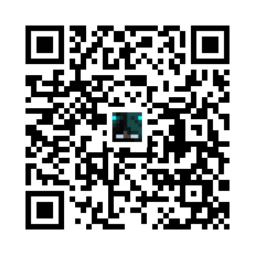 skins.qr_code_alt