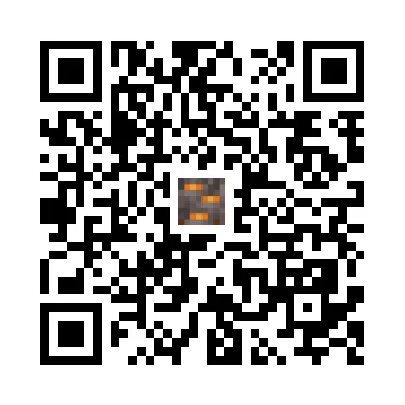 skins.qr_code_alt