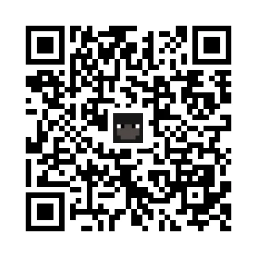 skins.qr_code_alt