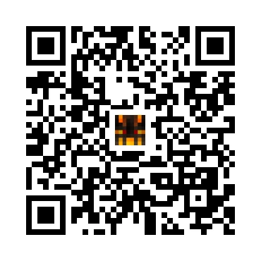 skins.qr_code_alt