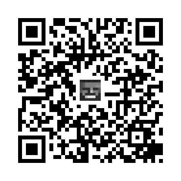 skins.qr_code_alt