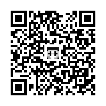 skins.qr_code_alt