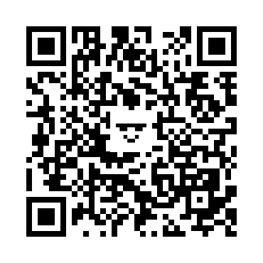 skins.qr_code_alt