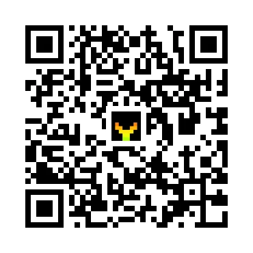 skins.qr_code_alt