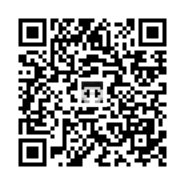 skins.qr_code_alt