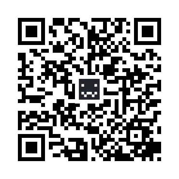 skins.qr_code_alt