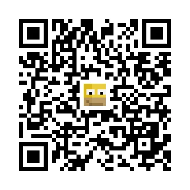 skins.qr_code_alt