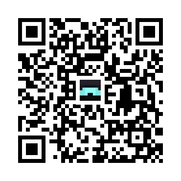 skins.qr_code_alt