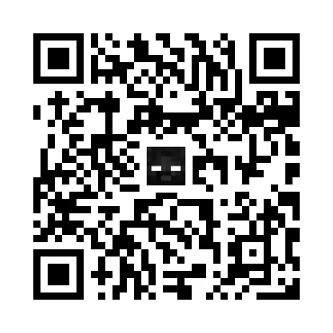 skins.qr_code_alt