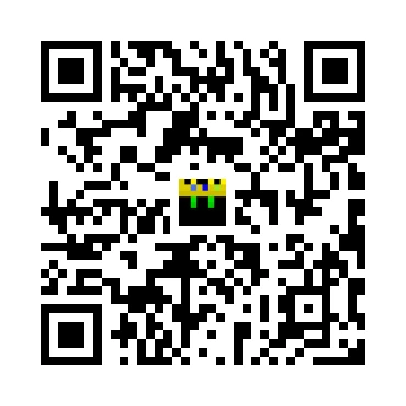 skins.qr_code_alt