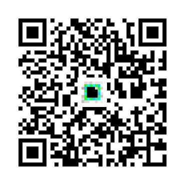 skins.qr_code_alt