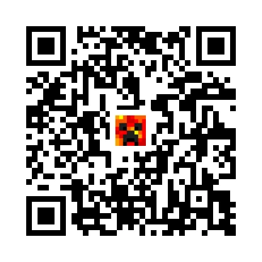 skins.qr_code_alt