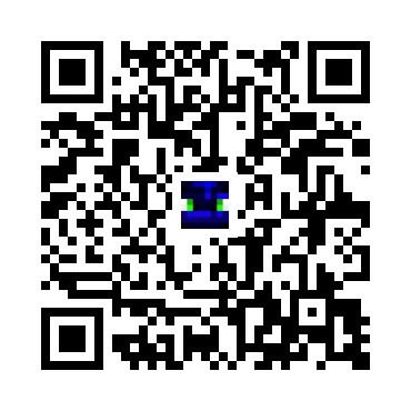 skins.qr_code_alt