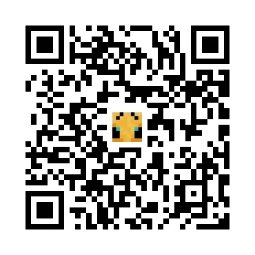 skins.qr_code_alt