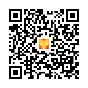 skins.qr_code_alt