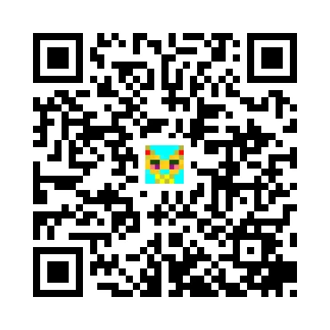 skins.qr_code_alt
