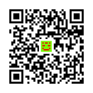 skins.qr_code_alt