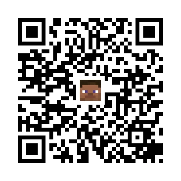 skins.qr_code_alt