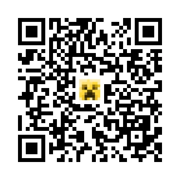 skins.qr_code_alt