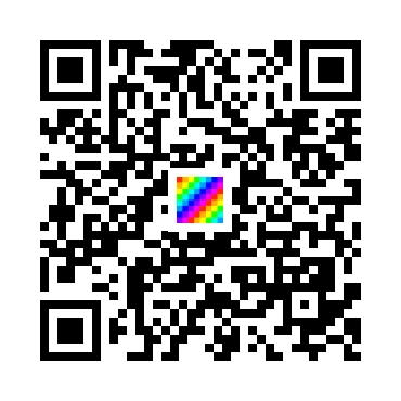 skins.qr_code_alt