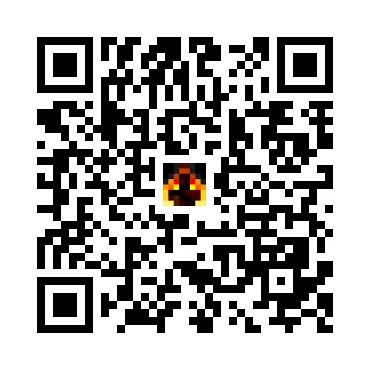 skins.qr_code_alt
