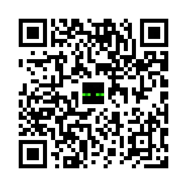 skins.qr_code_alt