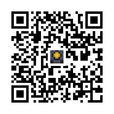 skins.qr_code_alt