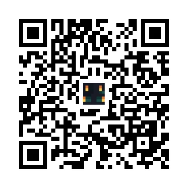 skins.qr_code_alt