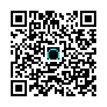 skins.qr_code_alt