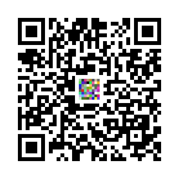 skins.qr_code_alt